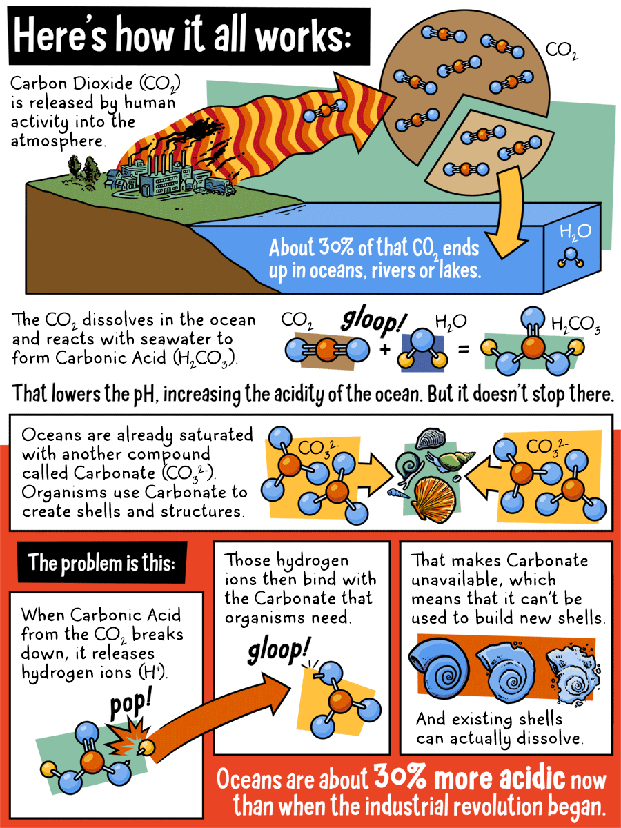 What is Shellshock? This infographic explains how a Shellshock