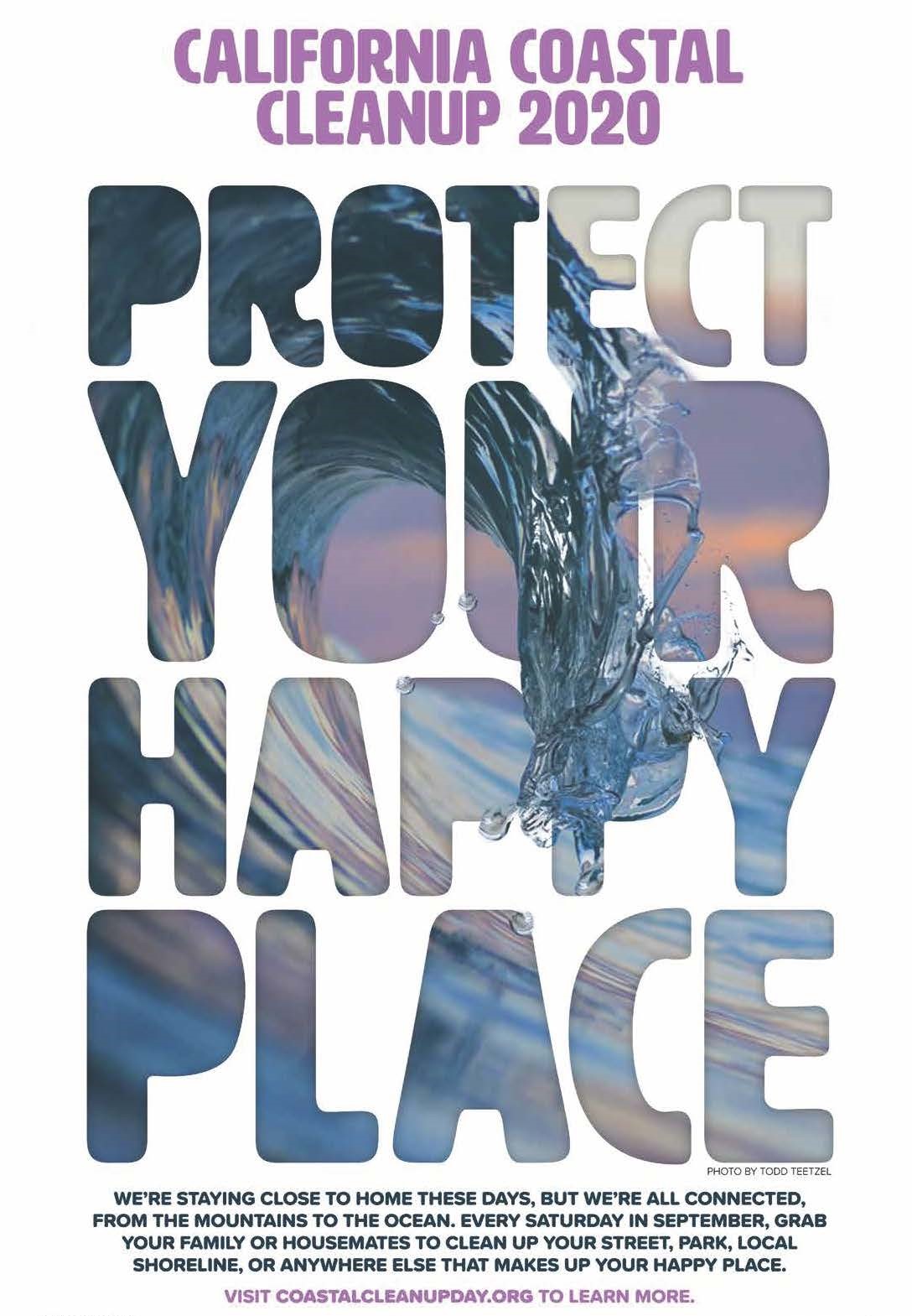 2020 poster, Protect Your Happy Place, wave image