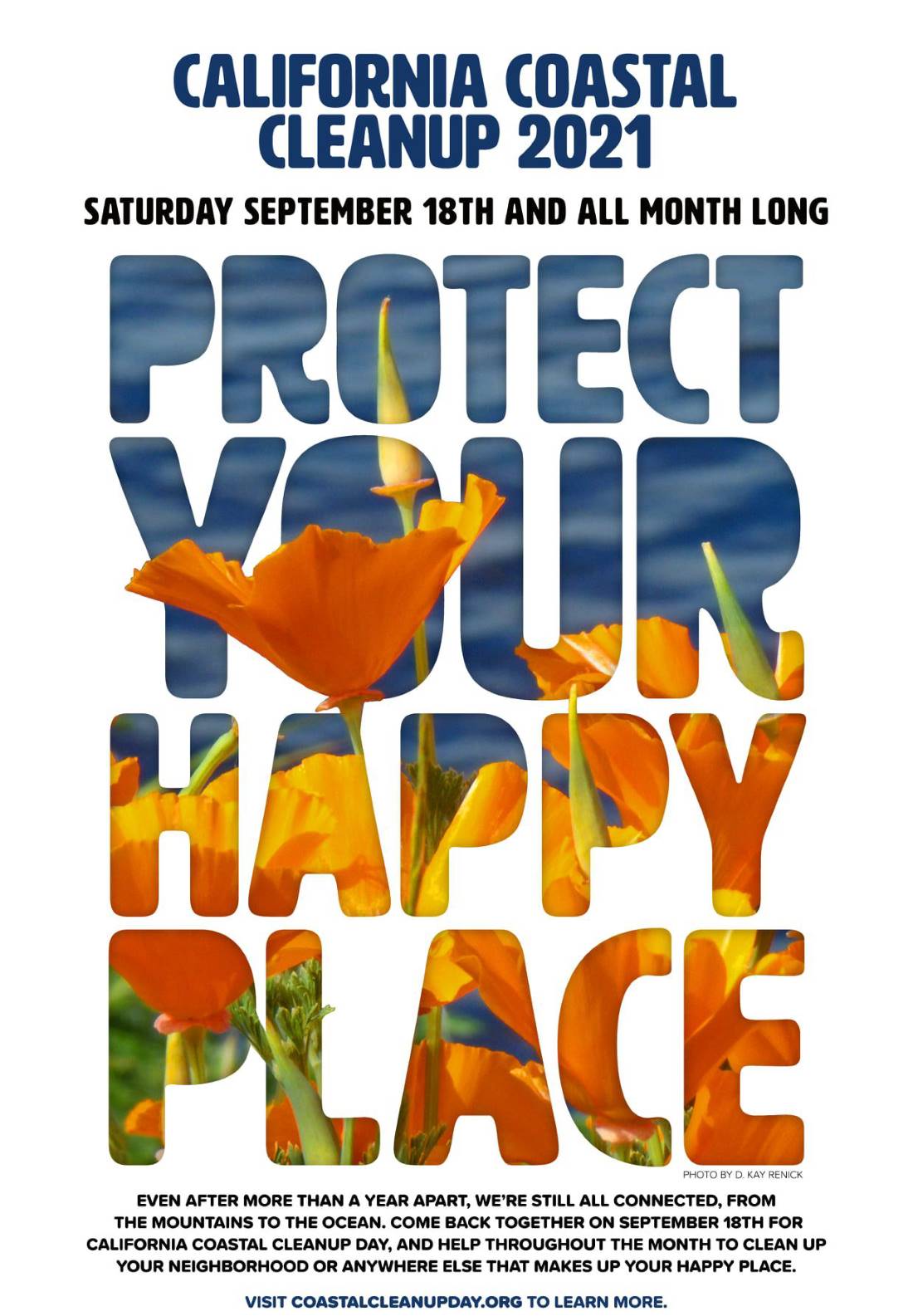 2021 poster, Protect Your Happy Place, poppy image