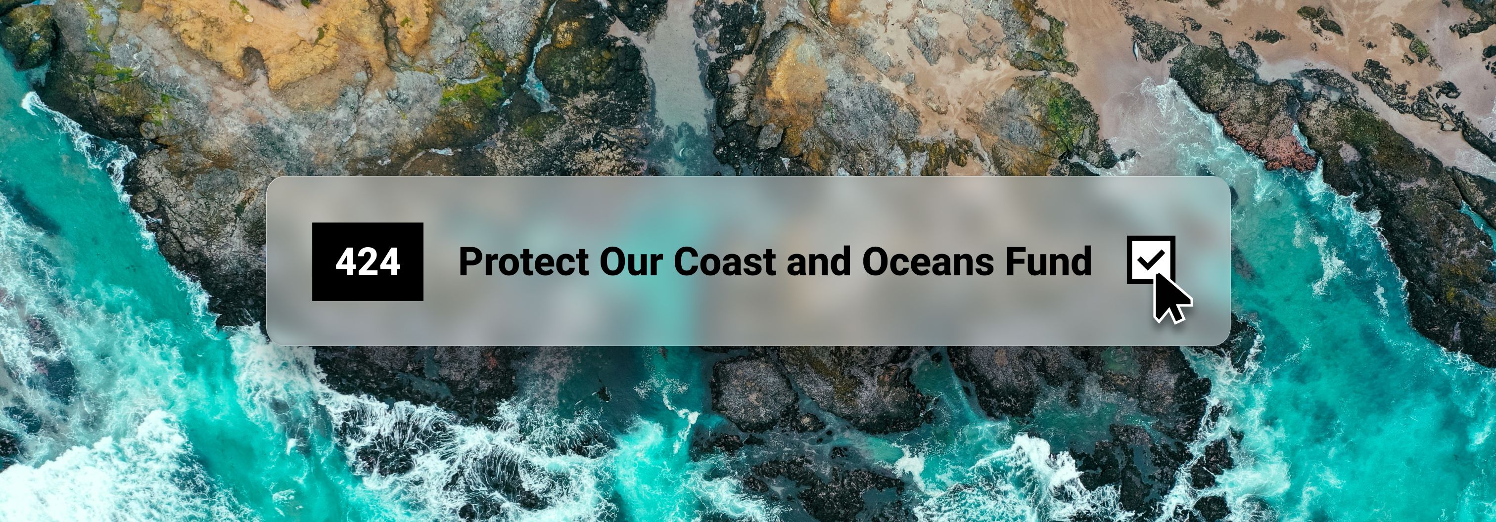 A photo of a California coastal scene, with an image of the tax form line 424, Protect Our Coast and Oceans Fund