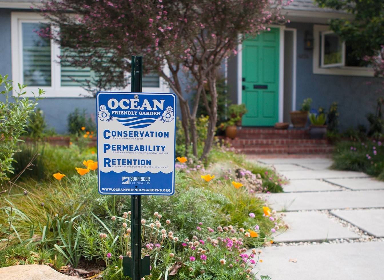 photo of a front yard in drough-tolerant plants, with Ocean Friendly Garden sign.