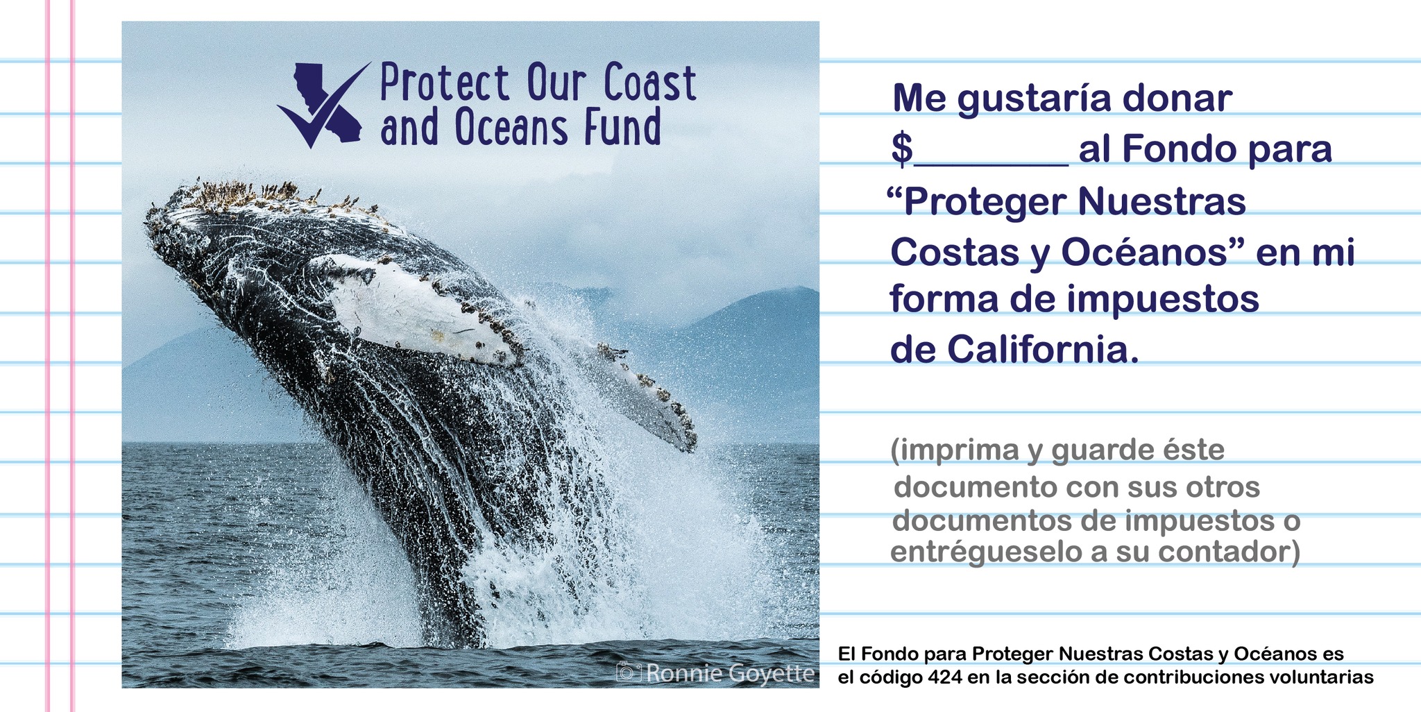 Me gustaria donar $__ al Fondo para Proteger Nuestras Costas y 
									Oceanos en mi forma de impuestos de California. Imprima y guarde este documento con 
									sus otros documentos de impuestos o entregueselo a su contador.