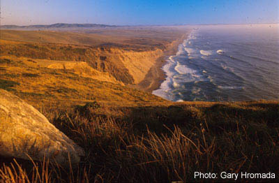 Point Reyes National Seashore, by Gary Hromada