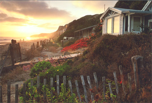 Front Yard and Beach Cottage, Crystal Cove State Park, © Chris Launi