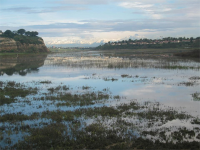 Upper Newport Bay, looking east