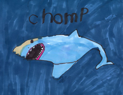 Great White Shark Goes Chomp