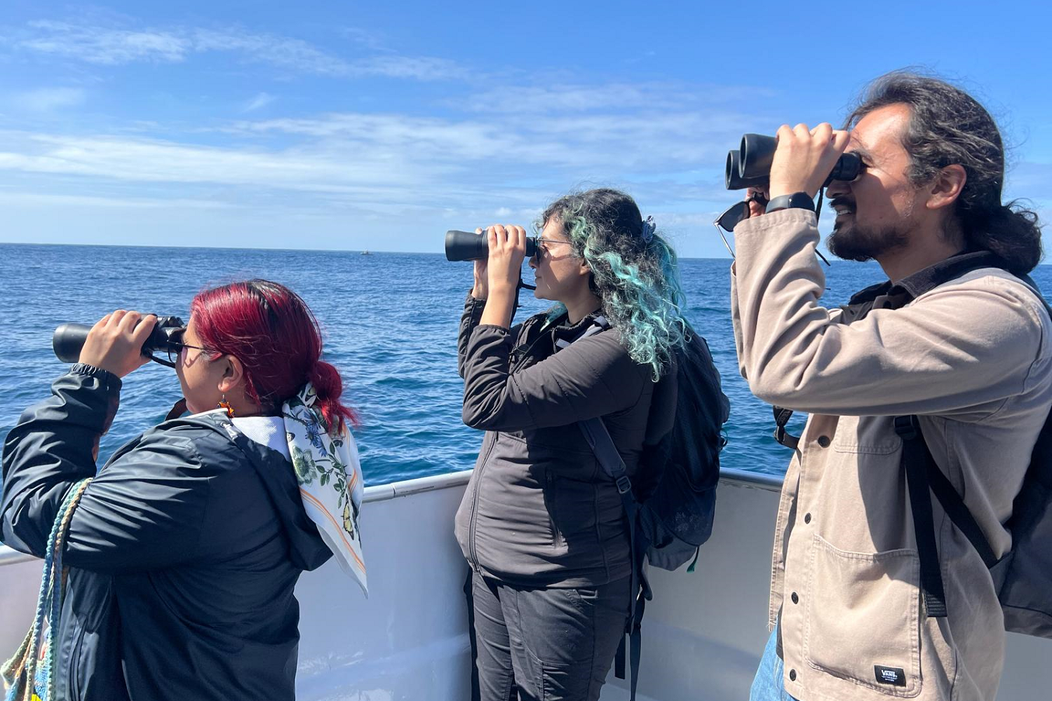 Three people hold and look through binoculars searching for marine wildlife on the ocean