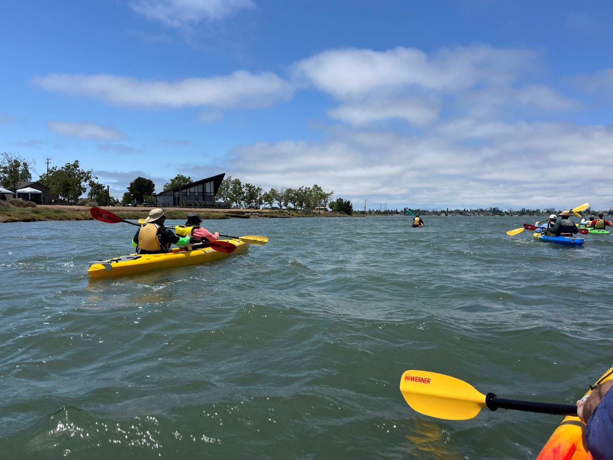 People in kayaks are paddling along a bay shoreline