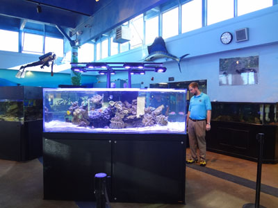 Cabrillo High School Aquarium