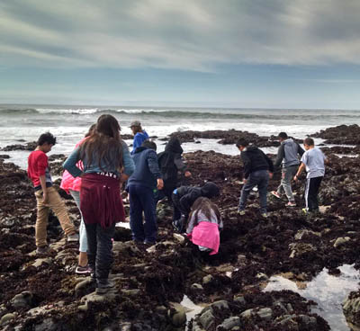 Kids tidepooling